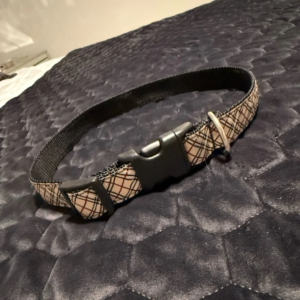 Dog Collar - Adjustable from 17” to 25”